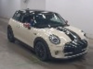 Mini Other